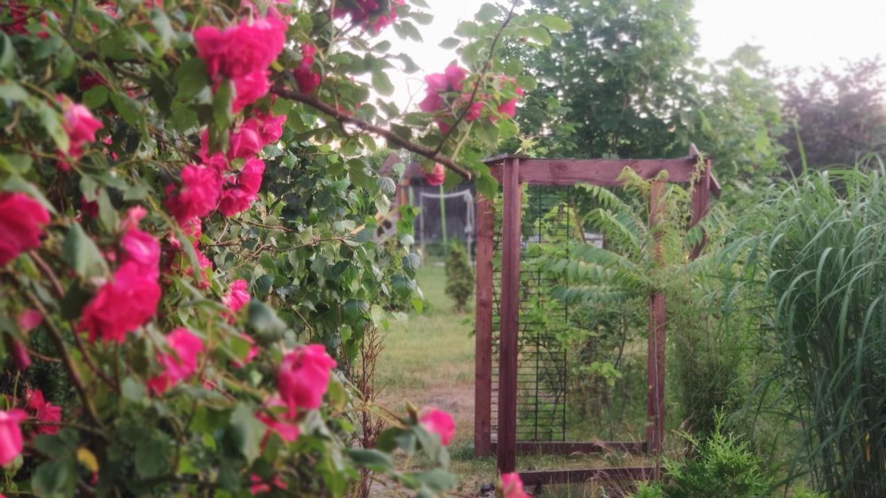 Ow Sargus Bed & Breakfast Władysławowo Dış mekan fotoğraf