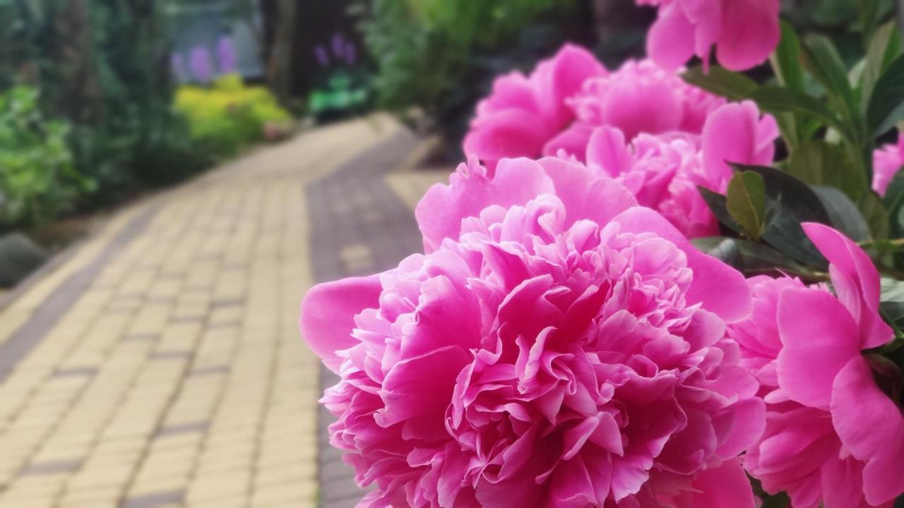 Ow Sargus Bed & Breakfast Władysławowo Dış mekan fotoğraf