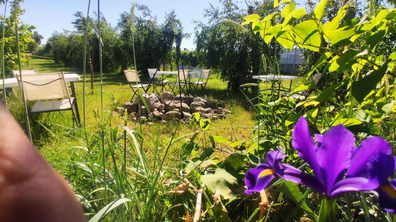 Ow Sargus Bed & Breakfast Władysławowo Dış mekan fotoğraf