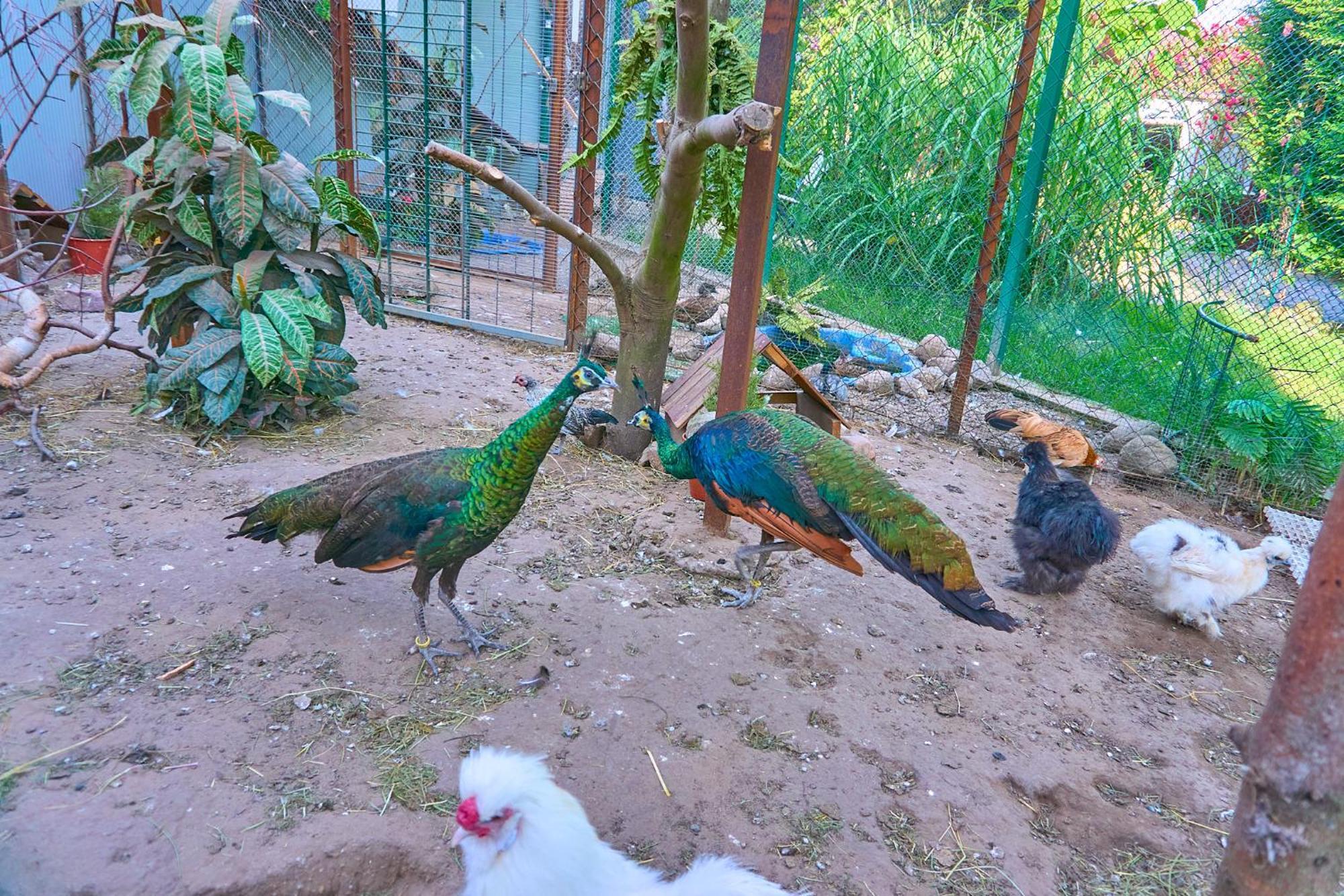 Ow Sargus Bed & Breakfast Władysławowo Dış mekan fotoğraf