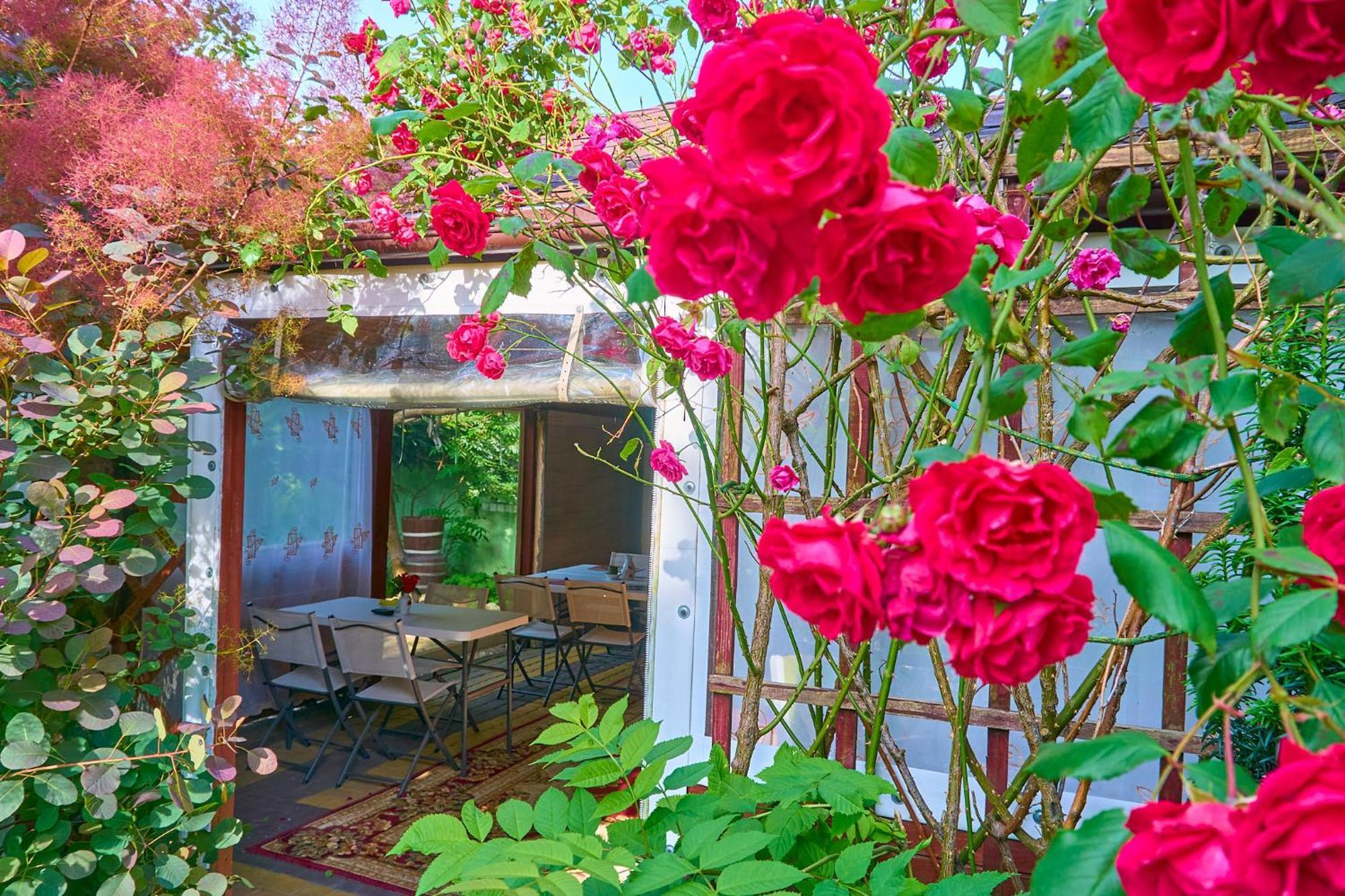 Ow Sargus Bed & Breakfast Władysławowo Dış mekan fotoğraf