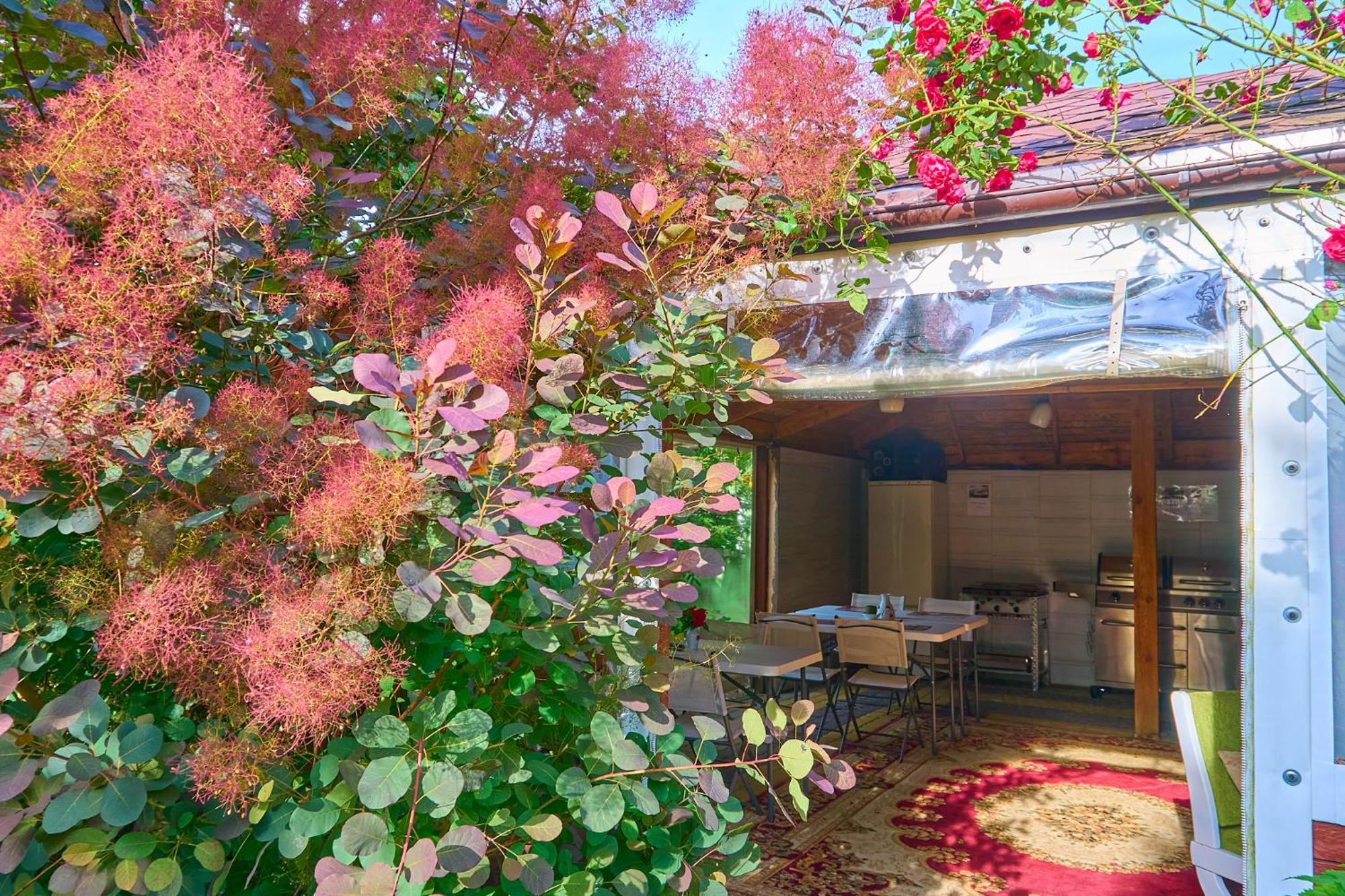 Ow Sargus Bed & Breakfast Władysławowo Dış mekan fotoğraf